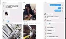 张杰营销号爆料视频播放,揭秘幕后精彩瞬间